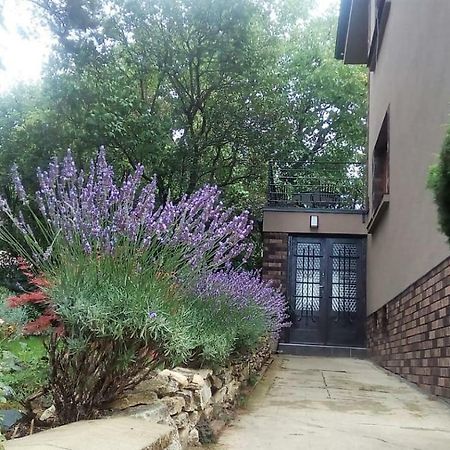 Apartman V Zahrade Praha Troja - Apartment In The Garden Prague Troja Luaran gambar